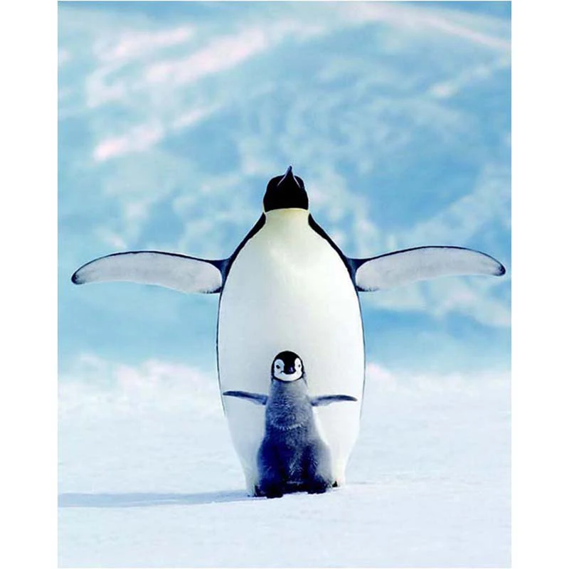 5D DIY Diamond Painting Penguin Animal Crafts Diamond Embroidery Square Rhinestone Picture Home Decoration
5D DIY Diamond Painting Penguin Animal Crafts Diamond Embroidery Square Rhinestone Picture Home Decoration