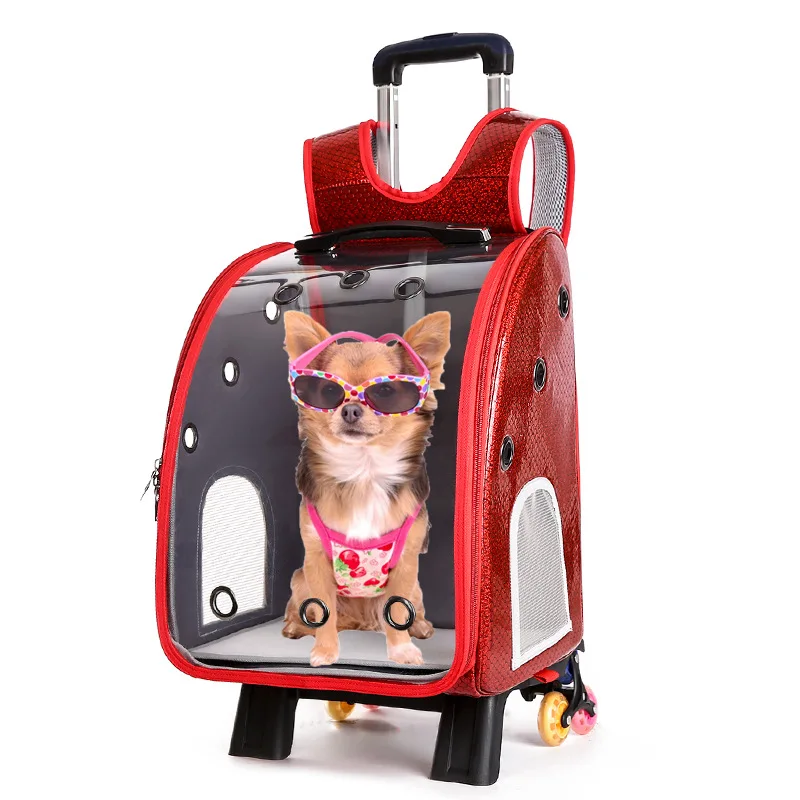 New Pet Transparent Backpack Out Portable Pet Trolley Bag Foldable Pet Trolley Case Wholesale
New Pet Transparent Backpack Out Portable Pet Trolley Bag Foldable Pet Trolley Case Wholesale