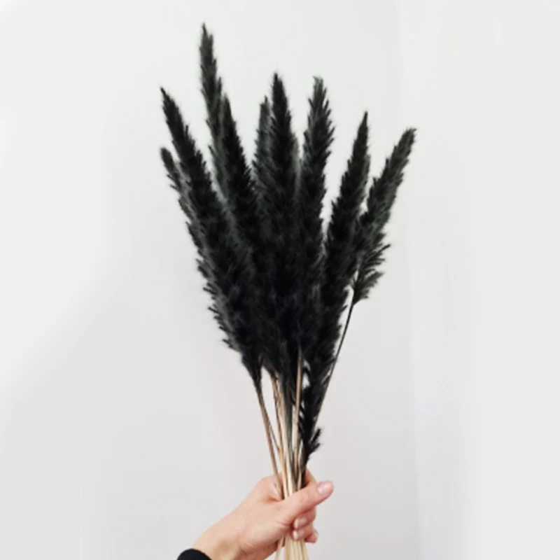 Black Bunny Tail Grass Dried Flower Natural Pampas Grass Real Reed Small Bulrush Bouquet Home Office Decor Wedding Dekoration
Black Bunny Tail Grass Dried Flower Natural Pampas Grass Real Reed Small Bulrush Bouquet Home Office Decor Wedding Dekoration