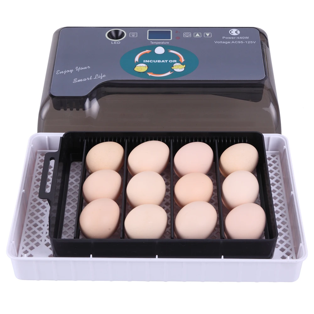 Digital Egg Incubator 12-Egg Adjustable Egg Tray Practical Fully Automatic Poultry Incubator Set US Plug Farm Hatchery Machine
Digital Egg Incubator 12-Egg Adjustable Egg Tray Practical Fully Automatic Poultry Incubator Set US Plug Farm Hatchery Machine