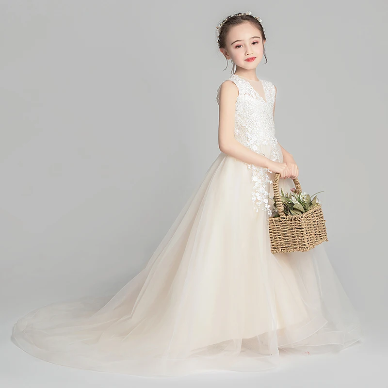 Champagne Girls Dress Flower Mesh Embroidery Christmas Ball Gown Evening Party Dresses For Princess Flower Girls Wedding Dress
Champagne Girls Dress Flower Mesh Embroidery Christmas Ball Gown Evening Party Dresses For Princess Flower Girls Wedding Dress