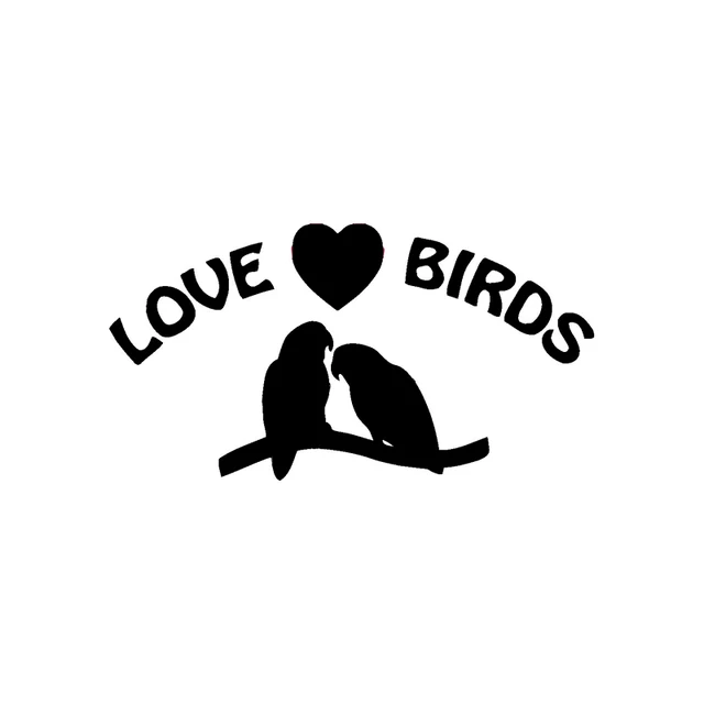 16.5CM*8.5CM Fashion Love Birds Heart Decoration Vinyl Car Sticker Decal Graphical
16.5CM*8.5CM Fashion Love Birds Heart Decoration Vinyl Car Sticker Decal Graphical