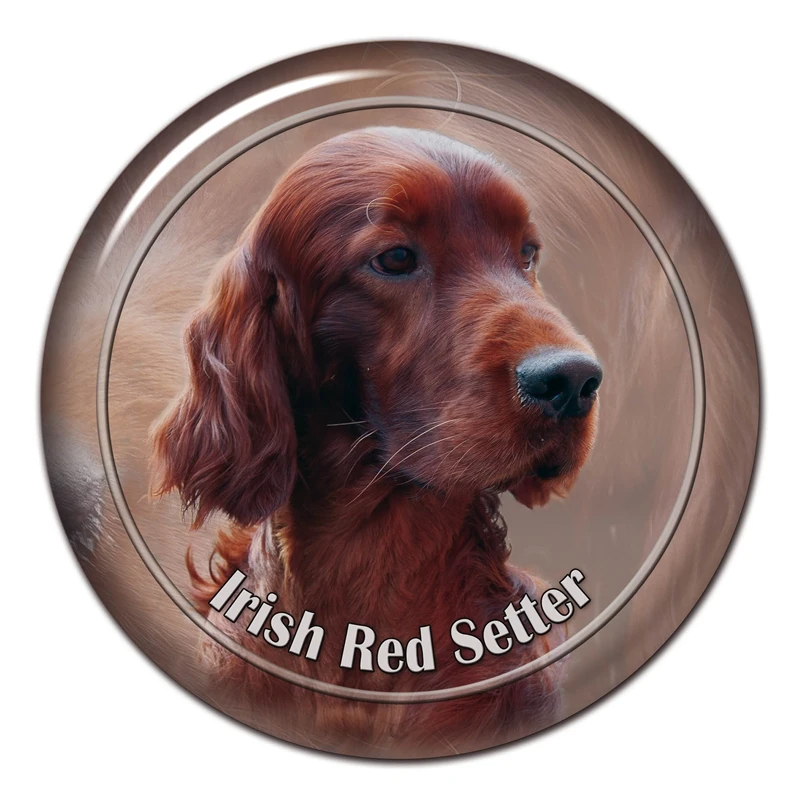 15CM Self-Adhesive Decal Irish Red Setter Dog Car Sticker Decors on Bumper Rear Window Laptop
15CM Self-Adhesive Decal Irish Red Setter Dog Car Sticker Decors on Bumper Rear Window Laptop