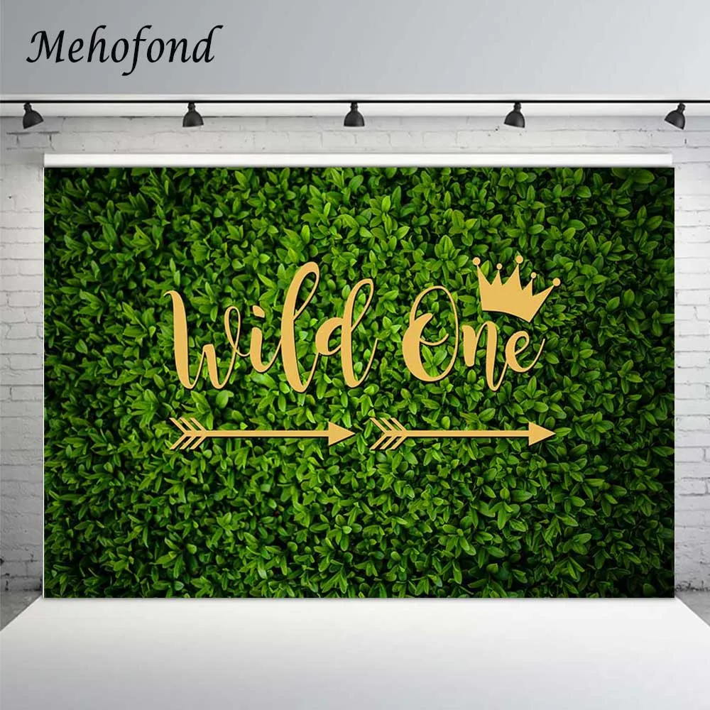 Mehofond Nature Green Leaves Wild One Wall Backdrop Newborn Baby 1st Birthday Party Photography Background Banner Photo Studio
Mehofond Nature Green Leaves Wild One Wall Backdrop Newborn Baby 1st Birthday Party Photography Background Banner Photo Studio