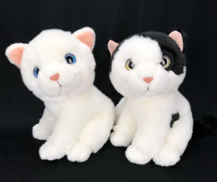 Новая игрушка около 22 см, милая плюшевая игрушка в виде кота, мягкая кукла Kitty, детская игрушка, подарок на день рождения w2119
Новая игрушка около 22 см, милая плюшевая игрушка в виде кота, мягкая кукла Kitty, детская игрушка, подарок на день рождения w2119