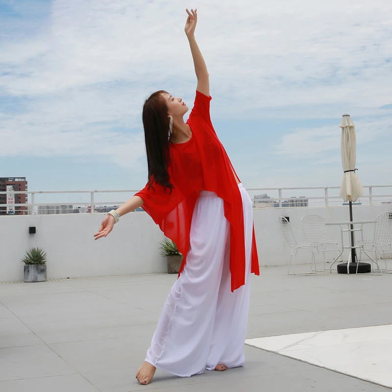 Belly Dance Uniforms Modern Dance Clothing Classical Yoga Dance Sets Tops and Pants Bellydance Exercise Clothing #DP0025
Belly Dance Uniforms Modern Dance Clothing Classical Yoga Dance Sets Tops and Pants Bellydance Exercise Clothing #DP0025