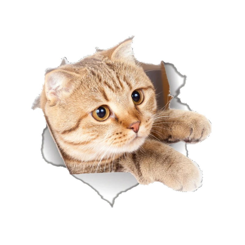S30966# Self-adhesive Decal Playful Cat Car Sticker Motorcycle Laptop Waterproof Auto Decors on Bumper Rear Window
S30966# Self-adhesive Decal Playful Cat Car Sticker Motorcycle Laptop Waterproof Auto Decors on Bumper Rear Window