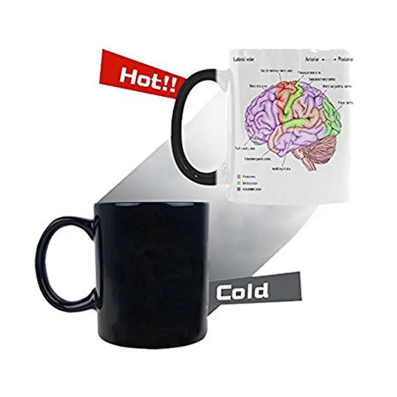 Love Anatomy of the Human Brain Morphing Mug Heat Sensitive Color Changing Coffee Mug Cup - Unique Funny Birthday Christmas Gift
Love Anatomy of the Human Brain Morphing Mug Heat Sensitive Color Changing Coffee Mug Cup - Unique Funny Birthday Christmas Gift