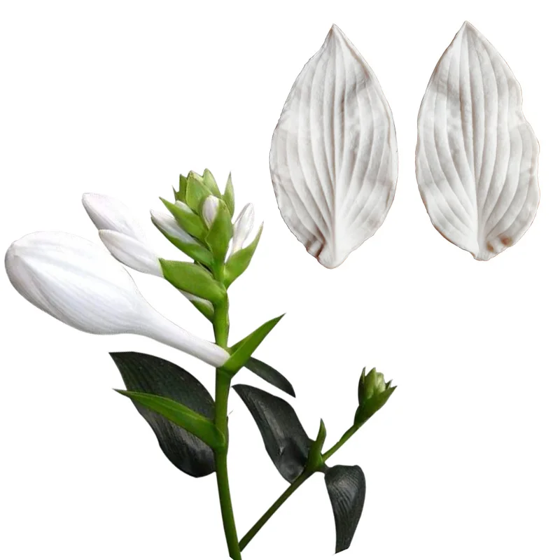 Hosta Lily Petal Veiner Silicone Mould Fondant Flowers Cake Decorating Chocolate Gumpaste Sugarcraft Clay Cold Porcelain M2115
Hosta Lily Petal Veiner Silicone Mould Fondant Flowers Cake Decorating Chocolate Gumpaste Sugarcraft Clay Cold Porcelain M2115