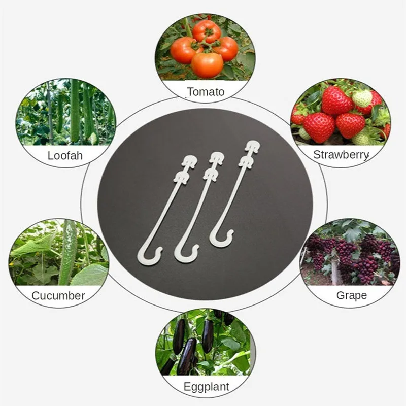 100 шт., заушники для овощей и фруктов
100 шт., заушники для овощей и фруктов