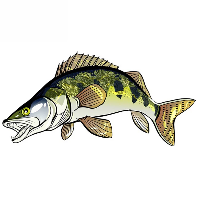 1 piece Fishing Fish Car Assessoires Stickers Funny Decal Campervan Windows Surfboard Graffiti Scratch-Proof 13cm X 6cm
1 piece Fishing Fish Car Assessoires Stickers Funny Decal Campervan Windows Surfboard Graffiti Scratch-Proof 13cm X 6cm
