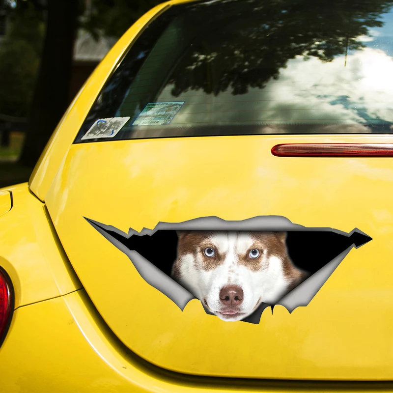 Brown Husky 3D Decal Funny Car Sticker Waterproof Auto Decors on Bumper Rear Window Laptop Choose Size #S60470
Brown Husky 3D Decal Funny Car Sticker Waterproof Auto Decors on Bumper Rear Window Laptop Choose Size #S60470