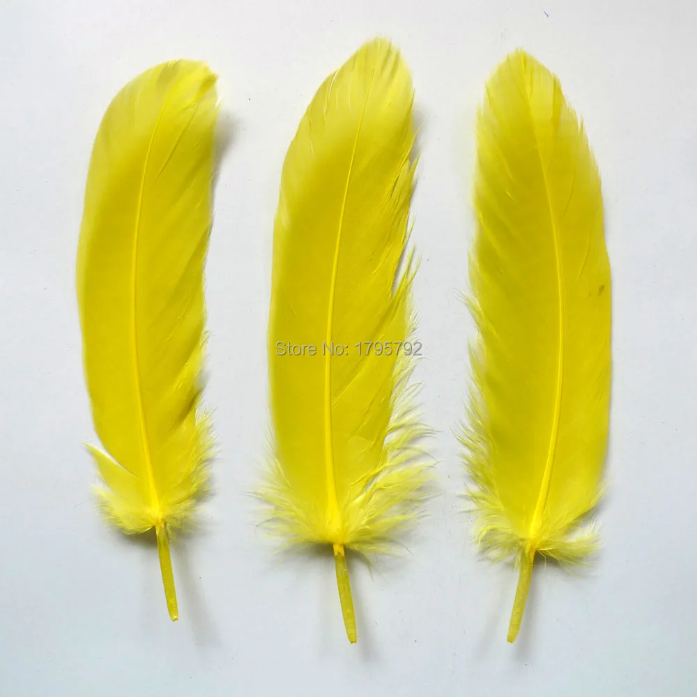 Wholesale Hard Pole 1000Pcs Yellow Goose Feathers For DIY Crafts Swan Plumes 12-18cm Jewelry Wedding Home Accessories Decoration
Wholesale Hard Pole 1000Pcs Yellow Goose Feathers For DIY Crafts Swan Plumes 12-18cm Jewelry Wedding Home Accessories Decoration