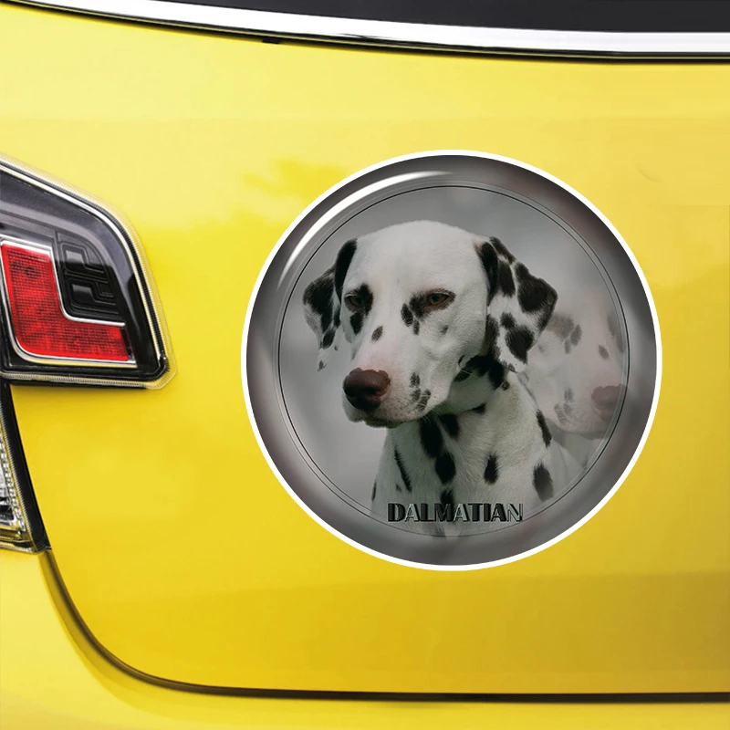 Dalmatian Self-adhesive Decal Car Sticker Waterproof Auto Decors on Bumper Rear Window Laptop #S60991
Dalmatian Self-adhesive Decal Car Sticker Waterproof Auto Decors on Bumper Rear Window Laptop #S60991