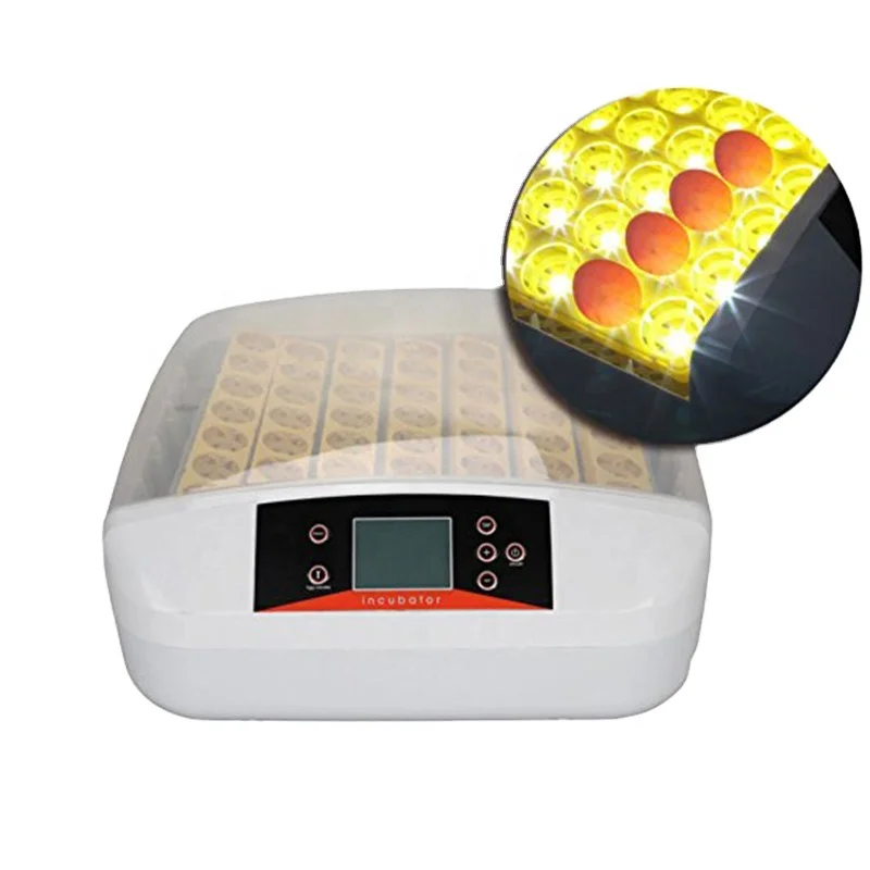 Newest Best Farm Hatchery Machine 42 Egg Hatchers Cheap Price Chicken Automatic Egg Incubator China for Sale Birds Quail Brooder
Newest Best Farm Hatchery Machine 42 Egg Hatchers Cheap Price Chicken Automatic Egg Incubator China for Sale Birds Quail Brooder