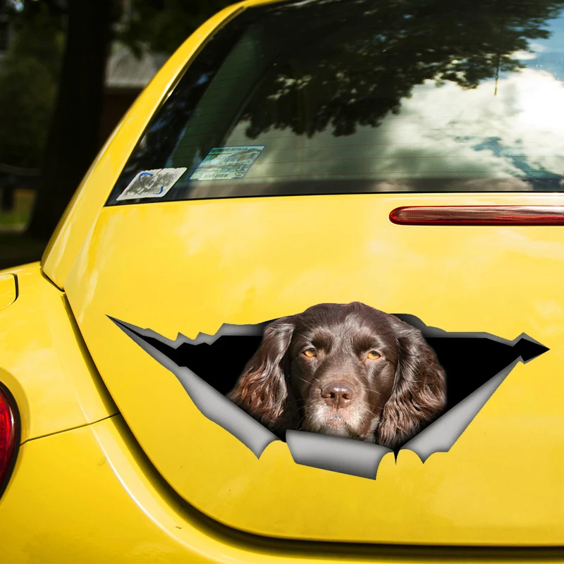 Brown Cocker Spaniel Dog 3D Decal Funny Car Sticker Waterproof Auto Decors on Bumper Rear Window Laptop Choose Size #S60468
Brown Cocker Spaniel Dog 3D Decal Funny Car Sticker Waterproof Auto Decors on Bumper Rear Window Laptop Choose Size #S60468