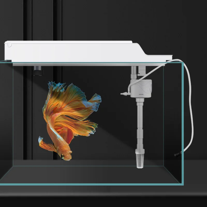 Rain Filtration Fish Tank Top Filting Box Water Circulation System Water Purification Oxygen Increasing Aquarium Accessories
Rain Filtration Fish Tank Top Filting Box Water Circulation System Water Purification Oxygen Increasing Aquarium Accessories