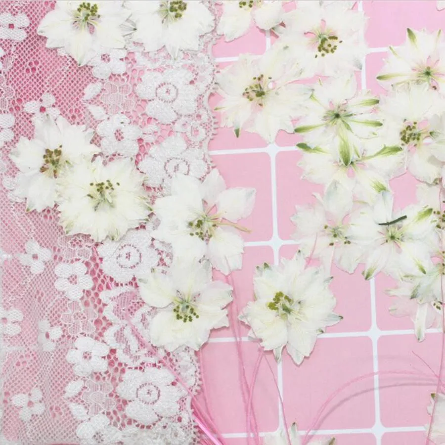 60pcs Pressed Dried White Consolida Ajacis Flowers Plants Herbarium For Jewelry Phone Case Frame Postcard Making Accessories
60pcs Pressed Dried White Consolida Ajacis Flowers Plants Herbarium For Jewelry Phone Case Frame Postcard Making Accessories