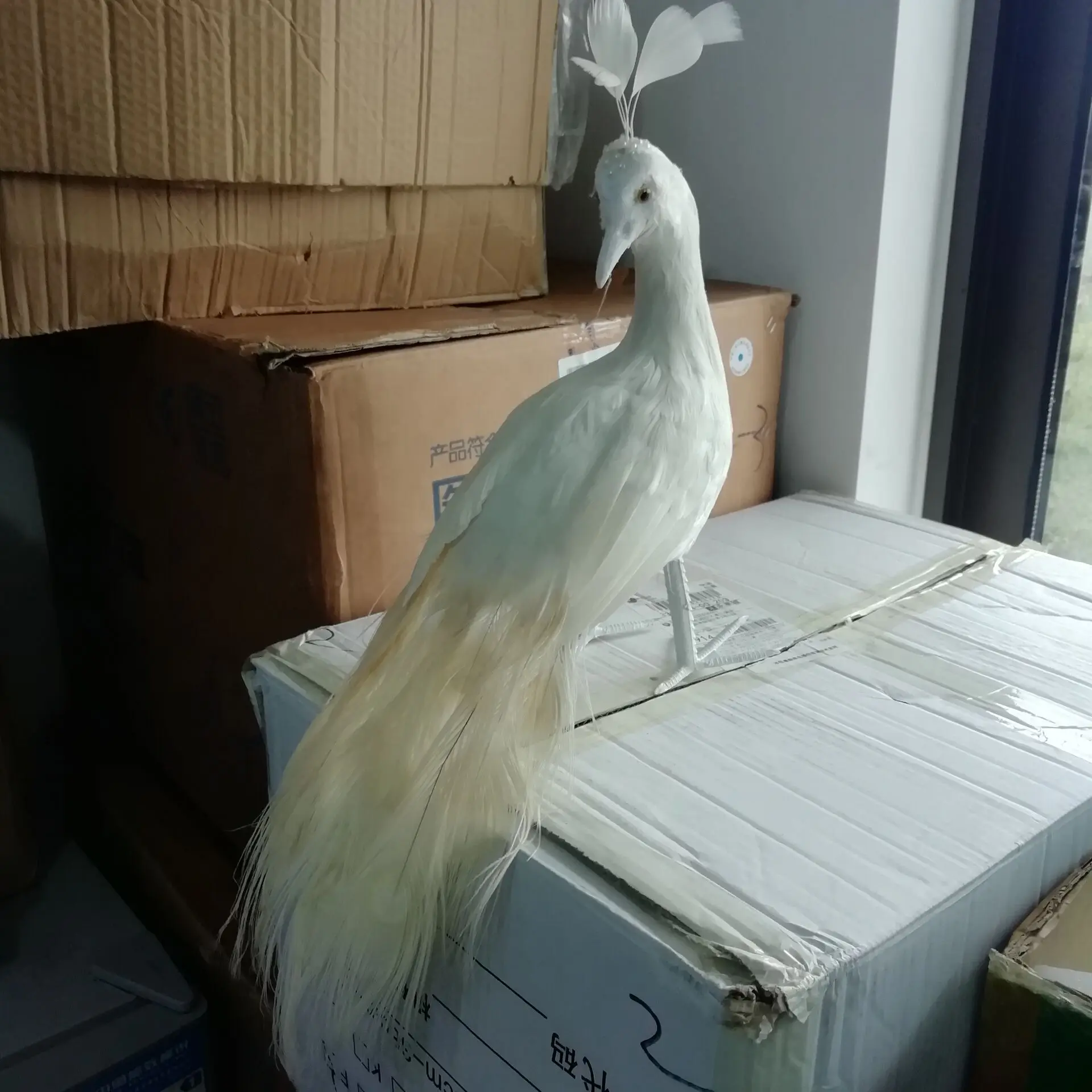 cute white peacock model foam&feather real life peacock doll about 45cm t1100
cute white peacock model foam&feather real life peacock doll about 45cm t1100