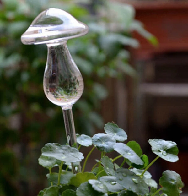 Automatic Glass Plant Pot Flowers Self Watering Water Feeder Bird Design Garden House Waterer Water Cans 6 Types
Automatic Glass Plant Pot Flowers Self Watering Water Feeder Bird Design Garden House Waterer Water Cans 6 Types