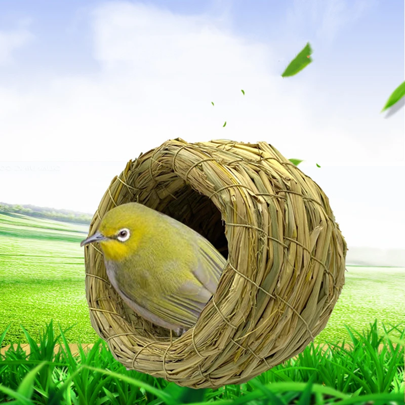Hand Woven Humming House Cage Outside Grass Hanging Hut Natural Nest Outdoor Fiber Cozy Rest Place Eco-Friendly Bird Shelter
Hand Woven Humming House Cage Outside Grass Hanging Hut Natural Nest Outdoor Fiber Cozy Rest Place Eco-Friendly Bird Shelter
