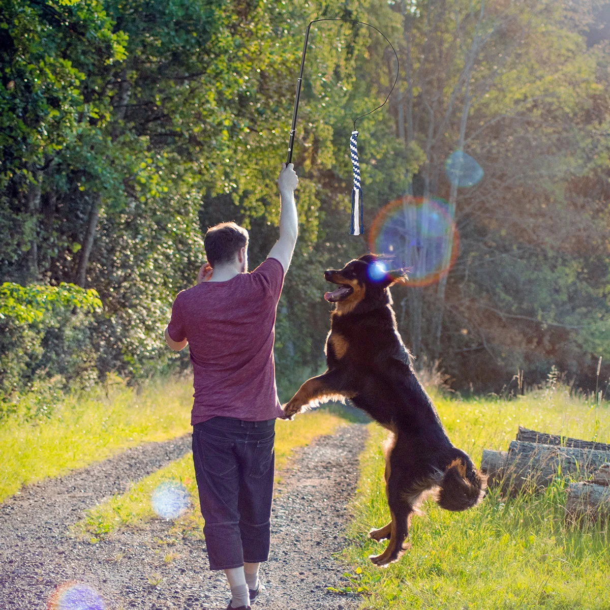 Pole Dog Dogs For S Teaser Tugextendable Interactive War Of Pet Puppy Tail Chasing Spring Wand Equipment Training
Pole Dog Dogs For S Teaser Tugextendable Interactive War Of Pet Puppy Tail Chasing Spring Wand Equipment Training