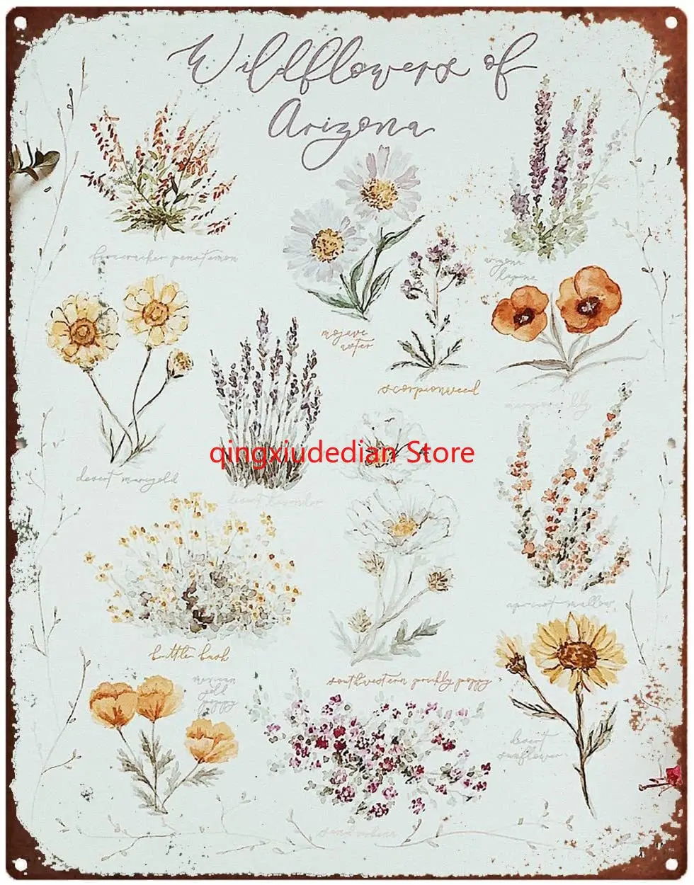 Tin Signs for Garage Wildflowers of Arizona Wall Art Print-Watercolor Flowers Print Vintage Botanical Metal Sign Vintage Metal
Tin Signs for Garage Wildflowers of Arizona Wall Art Print-Watercolor Flowers Print Vintage Botanical Metal Sign Vintage Metal