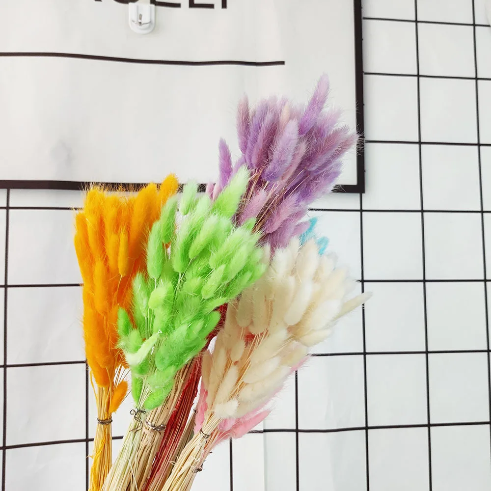 Natural Rabbit Tail Grass Bouquet, Dried Flowers, Wedding Flower Arrangement, Home Decoration, Real Flower Dog's Tail Grass
Natural Rabbit Tail Grass Bouquet, Dried Flowers, Wedding Flower Arrangement, Home Decoration, Real Flower Dog's Tail Grass