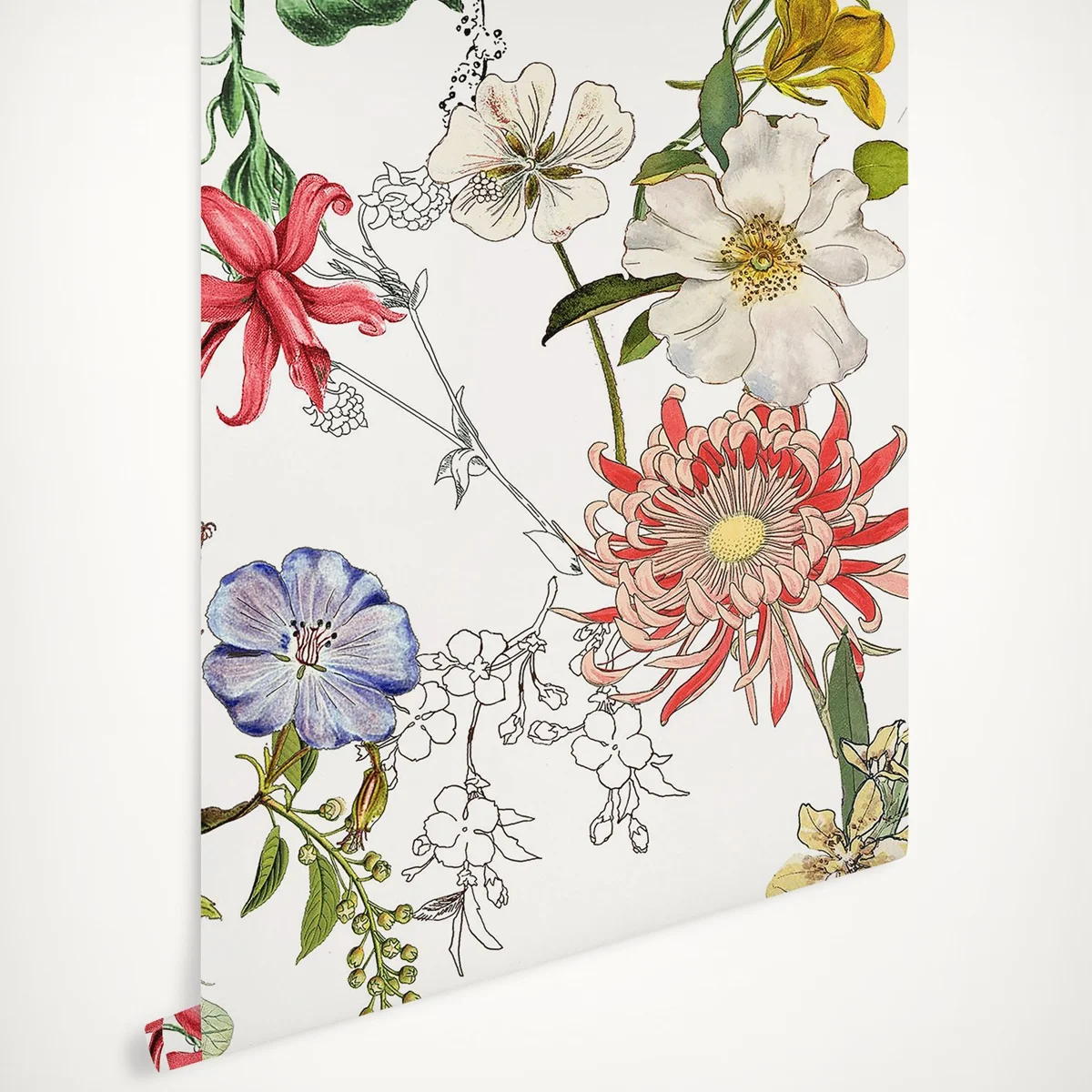 Sangria Flowers wallpaper, white grounded floral wall papers, Tropical Botanical wallpaper
Sangria Flowers wallpaper, white grounded floral wall papers, Tropical Botanical wallpaper