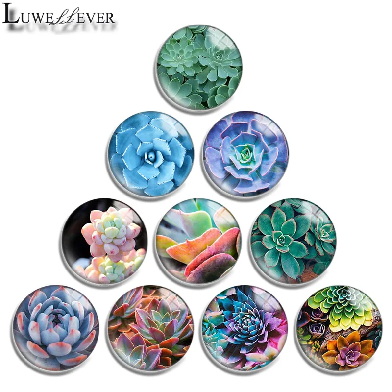 12mm 14mm 16mm 20mm 25mm 30mm 601 Succulents Mix Round Glass Cabochon Jewelry Finding 18mm Snap Button Charm Bracelet
12mm 14mm 16mm 20mm 25mm 30mm 601 Succulents Mix Round Glass Cabochon Jewelry Finding 18mm Snap Button Charm Bracelet
