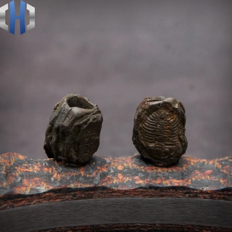 Оригинальный подвесной нож Trilobite Fossil, индивидуальные бусы на веревочке в стиле ретро, оригинальные игровые аксессуары «сделай сам», подарок для повседневного использования
Оригинальный подвесной нож Trilobite Fossil, индивидуальные бусы на веревочке в стиле ретро, оригинальные игровые аксессуары «сделай сам», подарок для повседневного использования