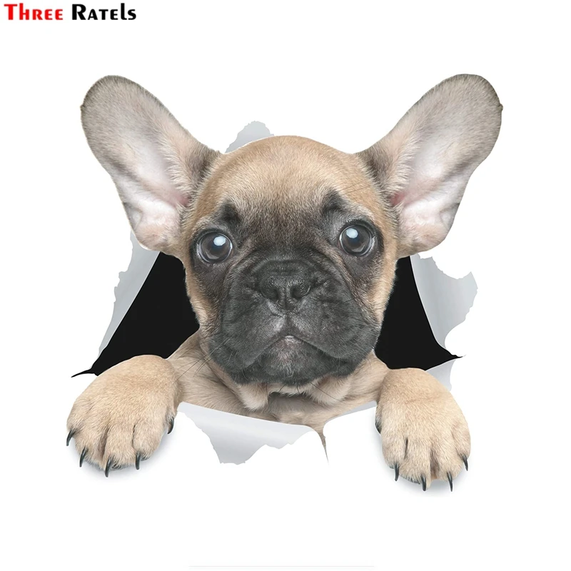 Three Ratels FTC-1083 3D Dog Stickers Cute French Bulldog Sticker For Wall, Fridge, Toilet And More
Three Ratels FTC-1083 3D Dog Stickers Cute French Bulldog Sticker For Wall, Fridge, Toilet And More