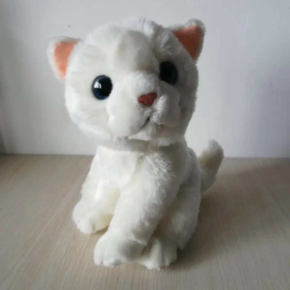 about 21cm cartoon cat plush toy white cat soft doll baby toy, high quality birthday gift h2429
about 21cm cartoon cat plush toy white cat soft doll baby toy, high quality birthday gift h2429