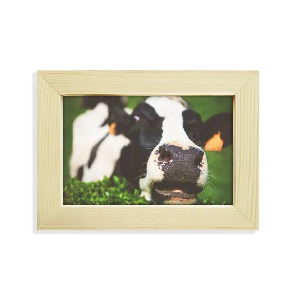 Pcture Terrestrial Organism Animal Cow Desktop Wooden Photo Frame Picture Art Painting 5x7 inch
Pcture Terrestrial Organism Animal Cow Desktop Wooden Photo Frame Picture Art Painting 5x7 inch