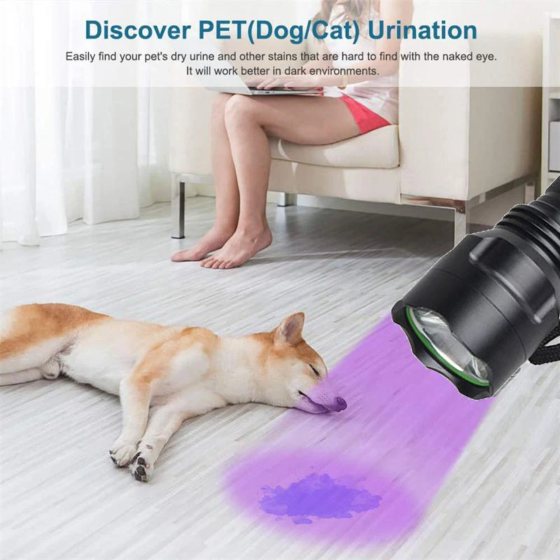 GM Powerful LED UV Lantern 600lm 3W LED UV Flashlight Waterproof 18650 UV Torch Light For Pet Urination Discover Catch Scorpion
GM Powerful LED UV Lantern 600lm 3W LED UV Flashlight Waterproof 18650 UV Torch Light For Pet Urination Discover Catch Scorpion