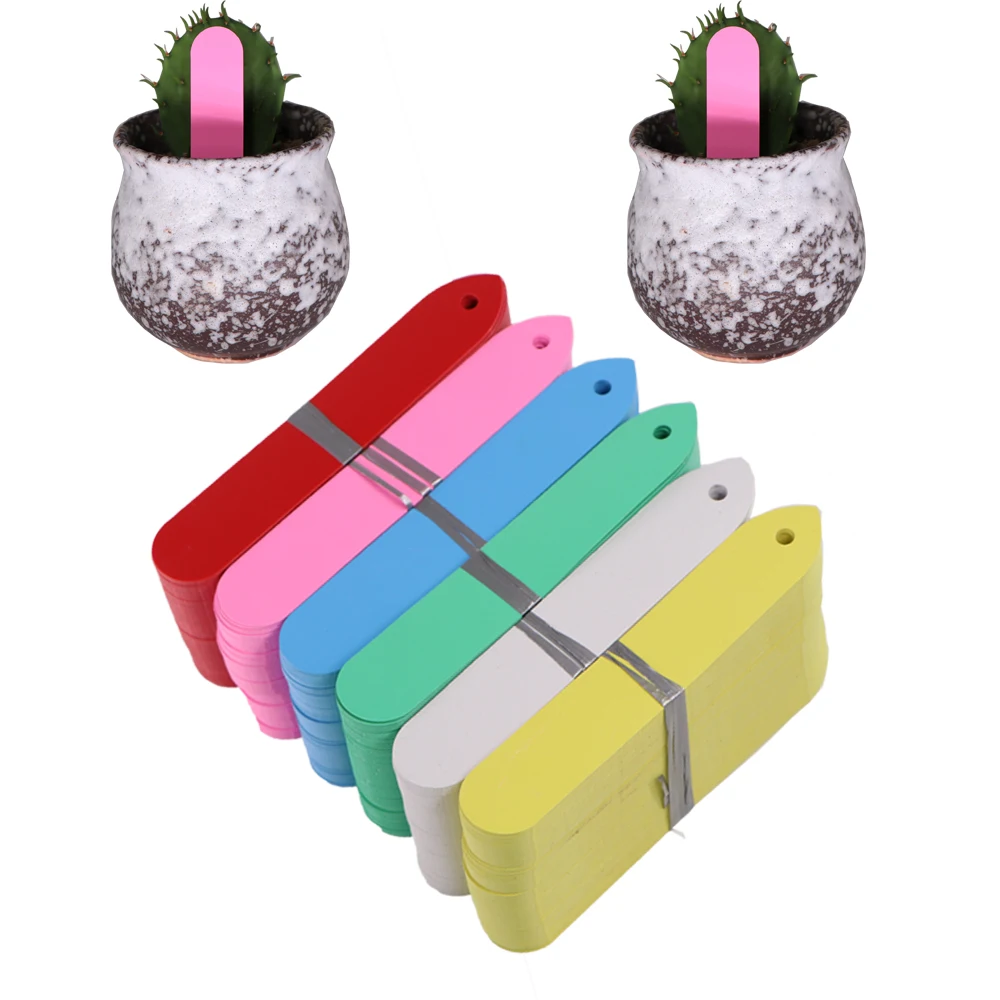 100PCS Plant labels 1.8x10cm Garden perforated plastic waterproof uv resistant reusable Vegetable Potted
100PCS Plant labels 1.8x10cm Garden perforated plastic waterproof uv resistant reusable Vegetable Potted