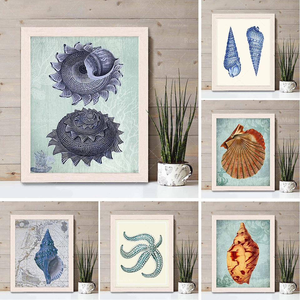 Impression nautique-sous-marine étoiles de mer coquilles-étoile de mer décoration étoile de mer Art impression étoile de mer imp
Impression nautique-sous-marine étoiles de mer coquilles-étoile de mer décoration étoile de mer Art impression étoile de mer imp