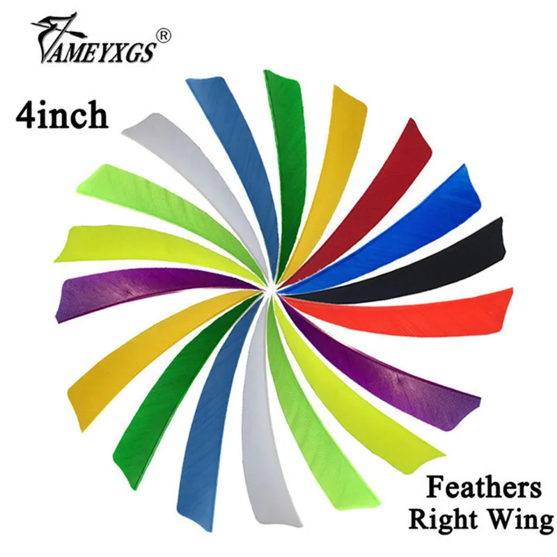 60/100pcs Archery 4" Turkey Feather Right Wing Arrow Feathers Natural Fletching For Bow And Arrow Shooting Hunting Accessories
60/100pcs Archery 4" Turkey Feather Right Wing Arrow Feathers Natural Fletching For Bow And Arrow Shooting Hunting Accessories