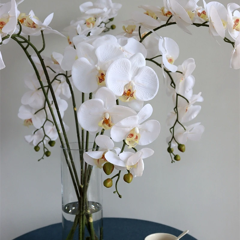 Home Decoration Artificial Flower Phalaenopsis Two Hand Moisturizing Glue Indoor Living Room New Year Wedding Decoration
Home Decoration Artificial Flower Phalaenopsis Two Hand Moisturizing Glue Indoor Living Room New Year Wedding Decoration