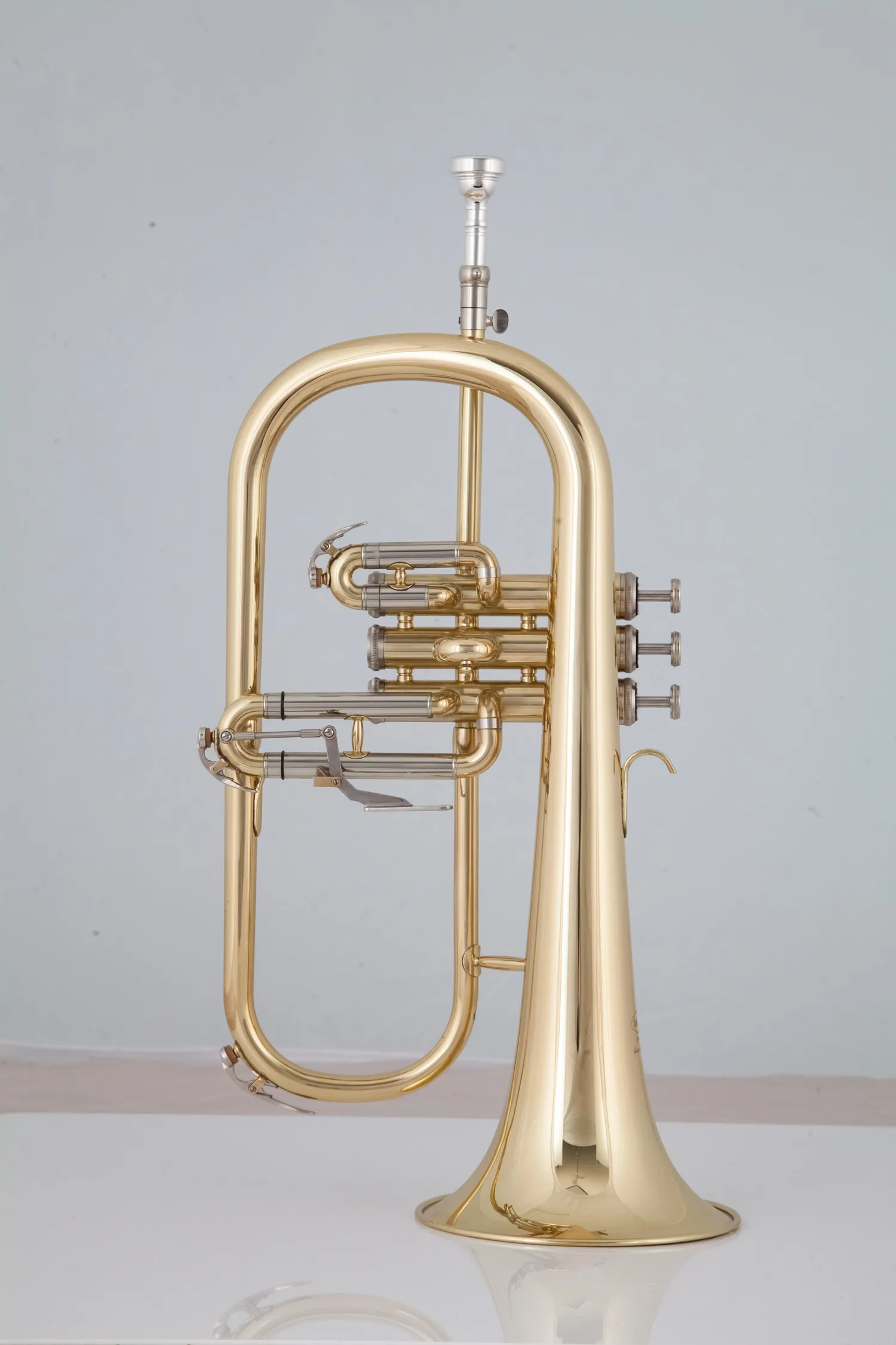 High Quality Bb Flugelhorn Bell Yellow Brass Plated Musical instrument Professional With Case Accessories
High Quality Bb Flugelhorn Bell Yellow Brass Plated Musical instrument Professional With Case Accessories