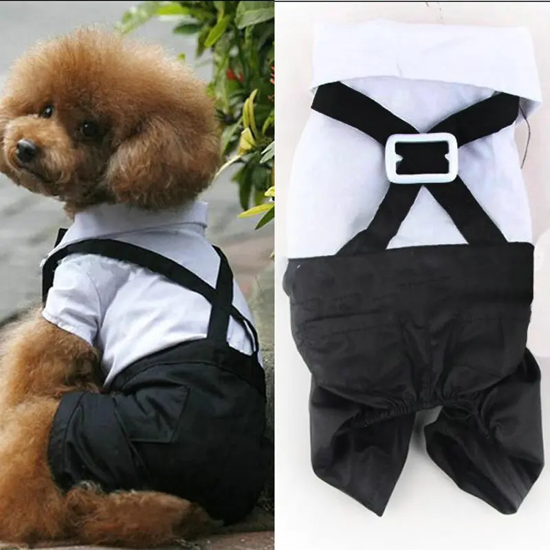 Tuxedo Gentleman Dog Clothes Four Leg Pants Pet Clothing Prince Cute Bow Tie Suit Puppy Costume Jumpsuit Jacket Hot Sale
Tuxedo Gentleman Dog Clothes Four Leg Pants Pet Clothing Prince Cute Bow Tie Suit Puppy Costume Jumpsuit Jacket Hot Sale