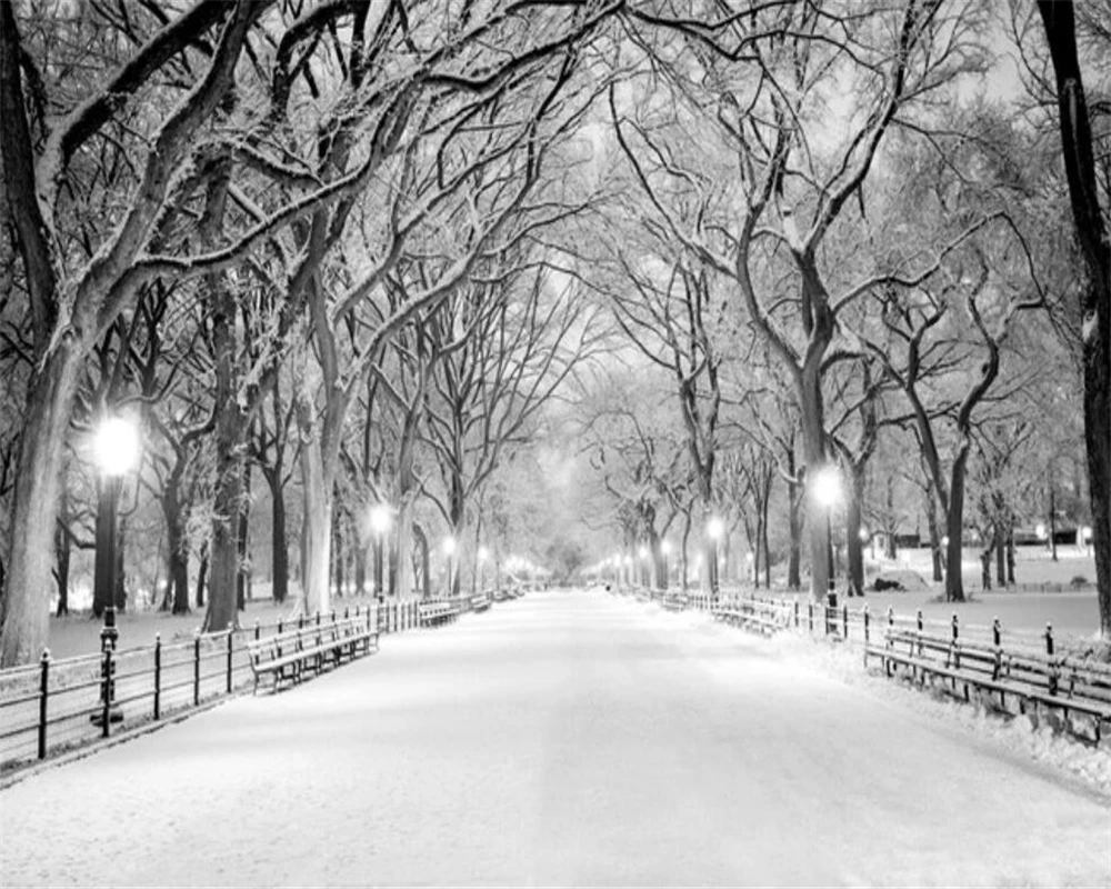 Custom size wallpaper black and white tree street light snow view channel mural home decoration space extension 3d wallpaper
Custom size wallpaper black and white tree street light snow view channel mural home decoration space extension 3d wallpaper