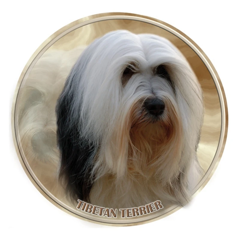 S40371# Various Sizes PVC Decal Tibetan Terrier Dog Animal Car Sticker For Bumper Rear Window Laptop Refrigerator Toilet
S40371# Various Sizes PVC Decal Tibetan Terrier Dog Animal Car Sticker For Bumper Rear Window Laptop Refrigerator Toilet