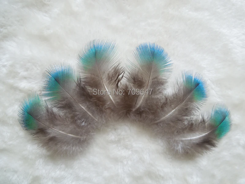 Cheap Feathers! 50pcs/Lot Approx 5-8cm long Nature павлин BODY PLUMAGE FEATHERS,Loose pauwenveren Feathers for Jewelry Making
Cheap Feathers! 50pcs/Lot Approx 5-8cm long Nature павлин BODY PLUMAGE FEATHERS,Loose pauwenveren Feathers for Jewelry Making