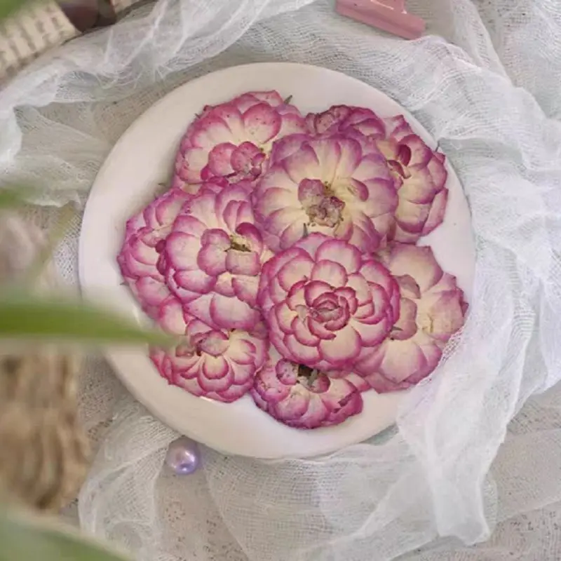 48pcs Pressed Dried Pink White Rose Flower Plant Herbarium For Jewelry Postcard Bookmark Phone Case Invitation Card DIY
48pcs Pressed Dried Pink White Rose Flower Plant Herbarium For Jewelry Postcard Bookmark Phone Case Invitation Card DIY