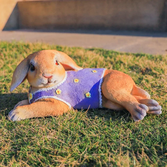 Chinese Cute Cartoon Resin Vest Rabbit Ornaments Outdoor Garden Balcony Figurines Decoration Courtyrad Villa Sculpture Crafts
Chinese Cute Cartoon Resin Vest Rabbit Ornaments Outdoor Garden Balcony Figurines Decoration Courtyrad Villa Sculpture Crafts