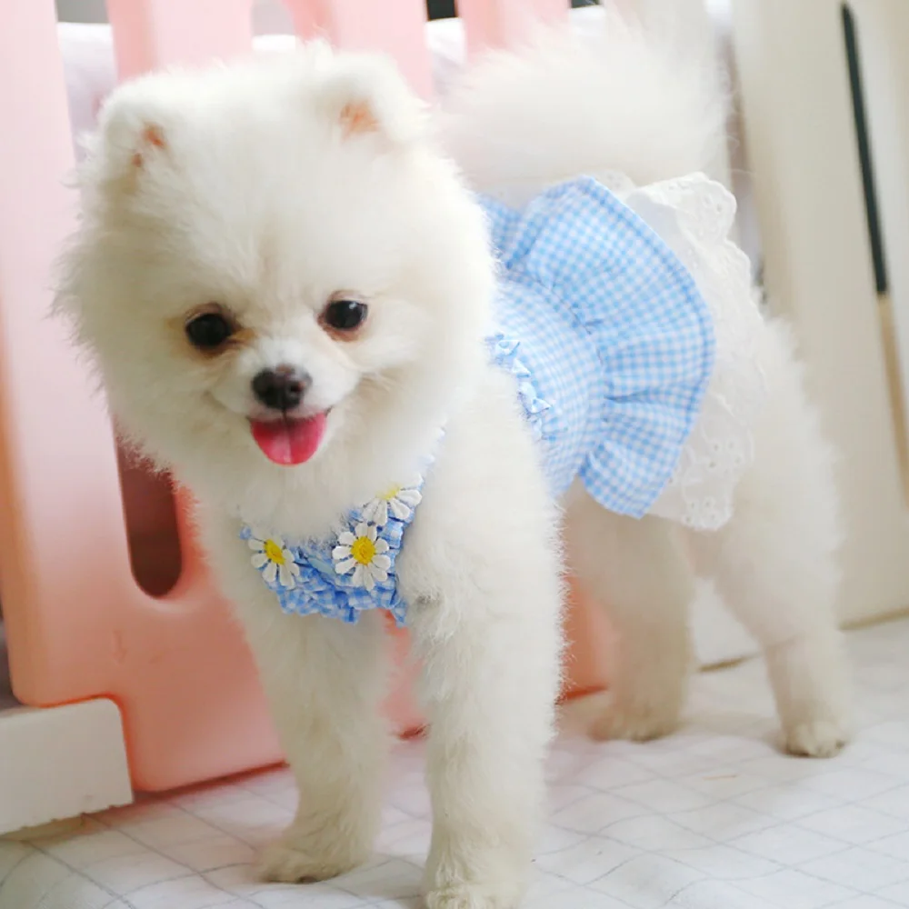 Blue Yellow Green Dog Dress Mini Grid Sun Lace Skirt Spring Summer Pets Dog Clothes for Small Dog Party Chihuahua Puppy Costume
Blue Yellow Green Dog Dress Mini Grid Sun Lace Skirt Spring Summer Pets Dog Clothes for Small Dog Party Chihuahua Puppy Costume