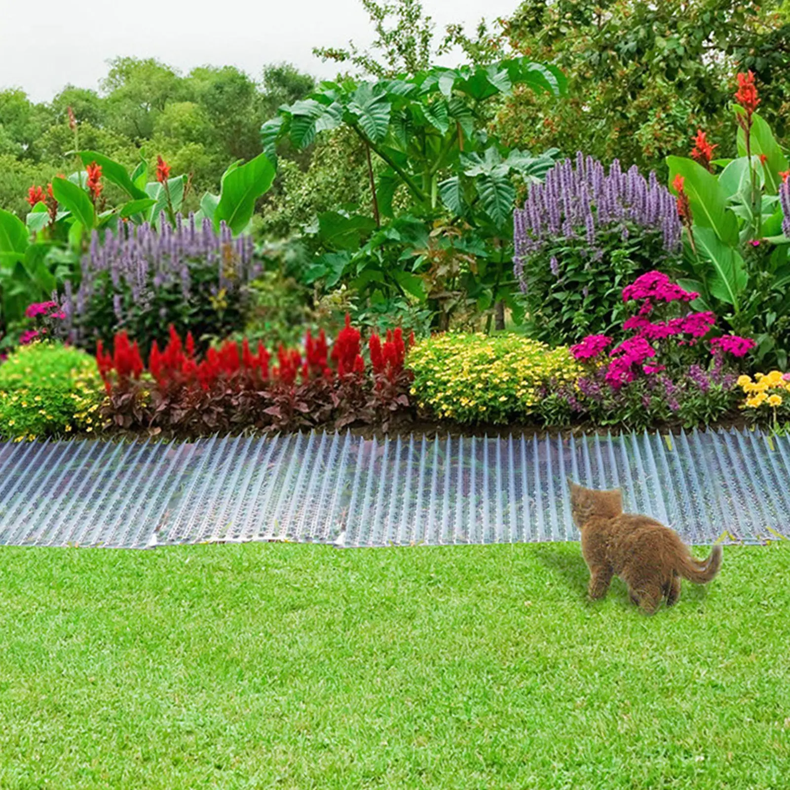 6PCS Garden Cat Scat Mat Anti Gatos Prickle Strips Keep Cat Away Safe Plastic Spike Cat Repellents Anti-cat And Dog Net Garden
6PCS Garden Cat Scat Mat Anti Gatos Prickle Strips Keep Cat Away Safe Plastic Spike Cat Repellents Anti-cat And Dog Net Garden
