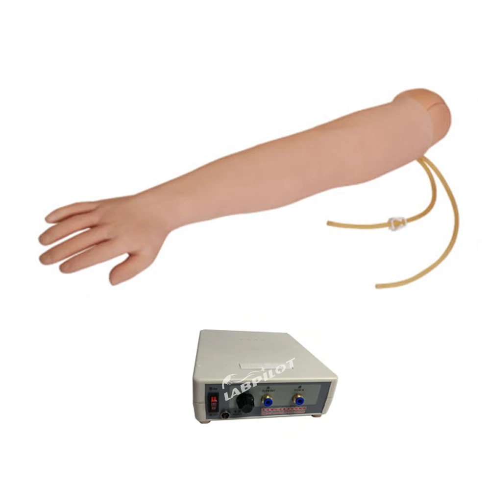 Full-functional IV Training Arm,Venipuncture , I.M. Injection Teaching Model with Blood Circulation Simulation
Full-functional IV Training Arm,Venipuncture , I.M. Injection Teaching Model with Blood Circulation Simulation