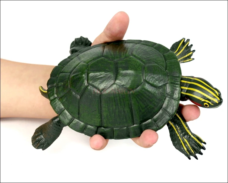 Amphibian Marine Animal Turtle Tortoise Plastic Child Cognitive Gift Turtle Brazilian Tortoise Simulation Model Toy
Amphibian Marine Animal Turtle Tortoise Plastic Child Cognitive Gift Turtle Brazilian Tortoise Simulation Model Toy